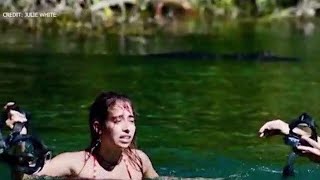 Alligator attack Gator bites womans head as shes snorkeling in Florida river [upl. by Rockafellow]