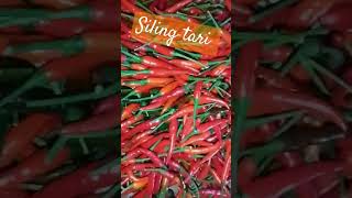 shortsfeed food vegestables chili shortsfeed asmr [upl. by Berneta]