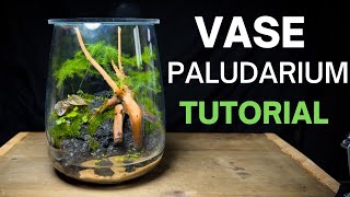 How To Make a Paludarium From a Vase Step by Step Guide [upl. by Galliett]