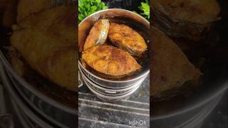 Todays lunch box  vanjaram fishfry fish kulambu dragon fruit ytshorts viralvideo trending [upl. by Ellinehc]