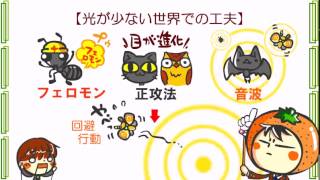 ★新課程生物発売決定★サンプル９「動物の行動」 [upl. by Lekram]