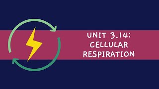 Unit 314 Cellular Respiration [upl. by Sher]