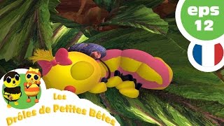 DRÔLES DE PETITES BÊTES  EP12  La colère de la Reine [upl. by Ennovihs786]