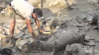 Scientists Find 3700YearOld Wine Cellar [upl. by Aivatnwahs]