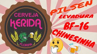 Receita cerveja pilsen com a levedura BF16 chinesa [upl. by Lesslie]