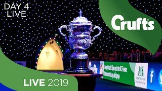 Day 4 LIVE  Crufts 2019 [upl. by Akemed]