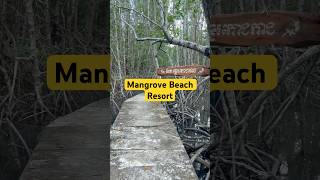 Mangrove Beach Resort shortsfeed shorts mangrove resort travel foryou trip [upl. by Artnoed464]