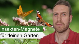 Meine Top 5 InsektenPflanzen für den Halbschatten [upl. by Girardi]