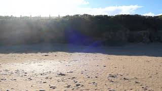 Harbour Cove Padstow Cornwall [upl. by Ahtoelc]