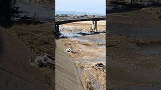 Car 🚗 in Turia river after flooding VALÈNCIA [upl. by Sommer263]