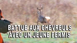 Battue aux chevreuils en Hauts de France 4K [upl. by Etnahs]