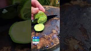 Super sharp lemon slicer boykingtv harvesting short farming agriculture satisfying farmer [upl. by Letnohs]