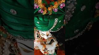 Mohan mere pyare song laddugopalmeremadhavgopal youtubeshorts [upl. by Arlie]