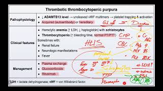 IM Hematology 26 Coagulopathy Thrombotic Thrombocytopenic PurpuraHemolytic Uremic Syndrome [upl. by Aynam]