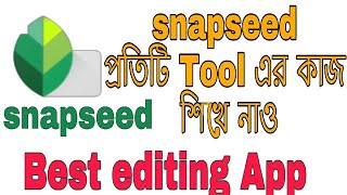 Snapseed প্রতিটি Tool এর কাজ শিখে নাও । How to edit Bengali [upl. by Ecital]