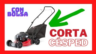 🔝5 Mejores Cortadoras de Césped 🛑 Es MEJOR un Cortacésped Eléctrico Manual o Gasolina DESCÚBRELO [upl. by Lemay]