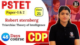 Triarchiac Theory of Intelligence Lec21 Robert sternberg CDP PSTET Paper1 amp 2 45 Days Course [upl. by Aneleve982]