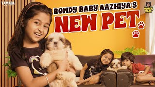 Rowdy Baby Aazhiyas New Pet  RowdyBabyTamil  Tamada Media [upl. by Schlessel]