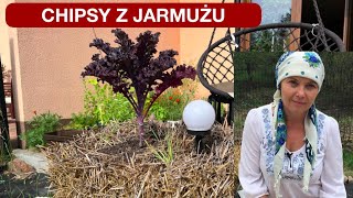 CHIPSY Z JARMUŻU [upl. by Ecitnerp]