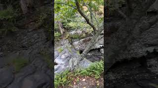 Poconos poconos hiking freshwing ilovemywings dreamsport flylikeabiro insta360X4 insta360 [upl. by Valli]