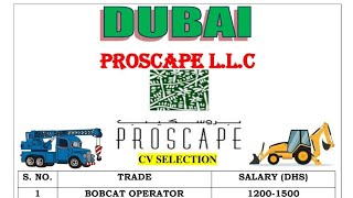 PROSCAPE LLC JOBS FOR DUBAI MPh 9418381725 9816171358 foreignemploymentinfovaca7070 [upl. by Leifer891]