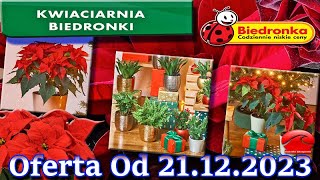 𝐁𝐈𝐄𝐃𝐑𝐎𝐍𝐊𝐀 🐞 Kwiaciarnia Biedronki Nowa Oferta Od 21122023  Kwiatowe Inspiracje Biedronki [upl. by Leraj]