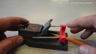 Victor Quick Kill Mouse Trap In Action Full Review mousetrapmonday [upl. by Odnalref]