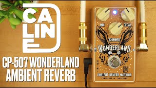 Caline CP508 Wonderland Ambient Reverb Machine [upl. by Conti]