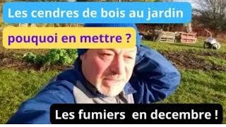 Les cendres de bois  comment les utiliser au jardin [upl. by Reidid148]