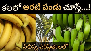 కలలో అరటి పండు కనిపిస్తే  Kalalo Arati Pandu Kanipiste  Banana in Dream Hindu Meaning [upl. by Soracco]