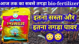 Arbuscular Mycorrhizal Fungi bio fertilizer माइकोराइजा बायो फर्टिलाइजर Mycorrhiza in hindi [upl. by Weissman]