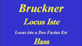 BassLocus IsteBruckner [upl. by Liahkim]