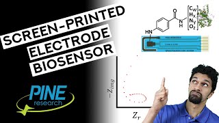 Electrochemical Impedance Spectroscopy of a ScreenPrinted Electrode Biosensor Inductive Loop [upl. by Elatsyrk]