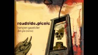 Hariçten Gazelciler  Deli Gibi roadside​​picnic remix [upl. by Rida]