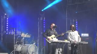 Jungle  Lucky I got what I want  Live  MS Dockville 2014 Hamburg  082014 [upl. by Nylyram]