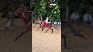 Faizabad Race 2024 Partapgarh Ka Ghoda Sawar Sohrab horse horseracing horseshorts horselover [upl. by Ailyn]