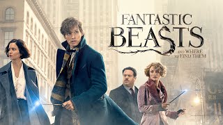 Fantastic Beasts and Where to Find Them Full Movie Review In Hindi  Hollywood Movie Fact And Story [upl. by Cloe215]