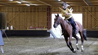 Horseback archery demonstration 24 arrows [upl. by Chor]