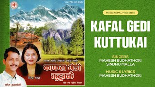 Kafal Gedi Kutukkai  Mahesh Budhathoki amp Sindhu Malla  Nepali Lok Dohori Song [upl. by Reginald982]