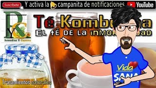 ☕✴ Té Kombucha el té de la inmortalidad ¿Para qué sirve y cuáles son sus beneficios [upl. by Adnamma]