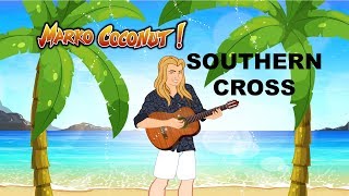 Crosby Stills amp Nash  Southern Cross  Acoustic Cover  Lyrics  Guitar Lesson At End [upl. by Cammy154]