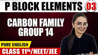 P BLOCK ELEMENTS 03  Carbon Family  Group 14  Chemistry  Pure English  Class 11thNEETJEE [upl. by Lleret]