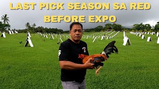 THANK YOU RED GAMEFARM  Boss Noli Vlog [upl. by Llesram]