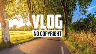 Ikson  Lights Vlog No Copyright Music [upl. by Retseh19]