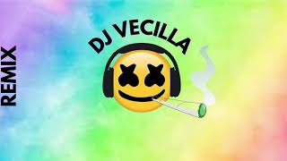 contando lunares x quedate DJ VECILLA MASHUP [upl. by Marian]