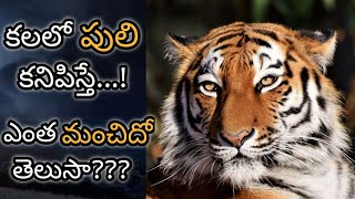 కలలో పులి కనిపిస్తే  Kalalo Puli Kanipiste  Tiger in Dream Analysis amp Meaning  Dreambook [upl. by Winny]