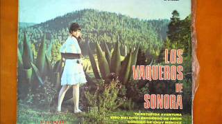 LOS VAQUEROS DE SONORA  VINO MALDITO [upl. by Isabel]