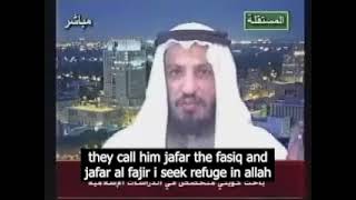 Sunni Sheikh exposes the hatred of the Shia for Ahlulbayt [upl. by Prissie]