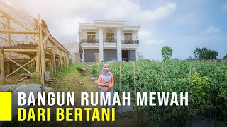 Guru Honorer Bangun Rumah Mewah Dari Bertani Modal Ratusan Ribu Bisa Sukses [upl. by Schlosser]