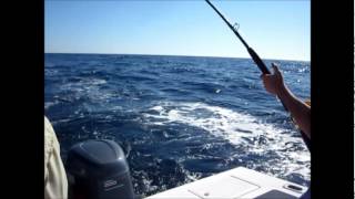 OFFSHORE FISHING TROLLING THE 40 LINEwmv [upl. by Fenny]